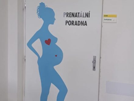 PIXEL reklama - polep vstupních dveří do ordinace - řezané samolepky IP5700