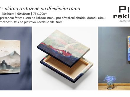 PIXEL reklama - fotoobra - tisk na plátno - canvas + rámování