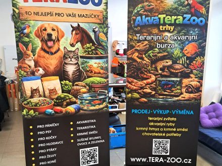 PIXEL reklama - Roll-Up 2x0,85m